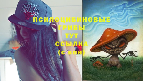 мяу мяу мука Вязники
